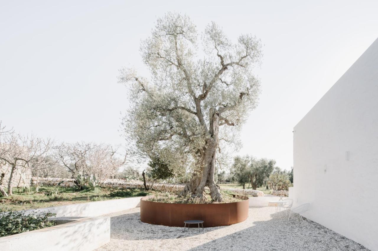 Masseria Dagilupi 奥斯图尼 外观 照片
